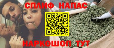 индика Мариинск