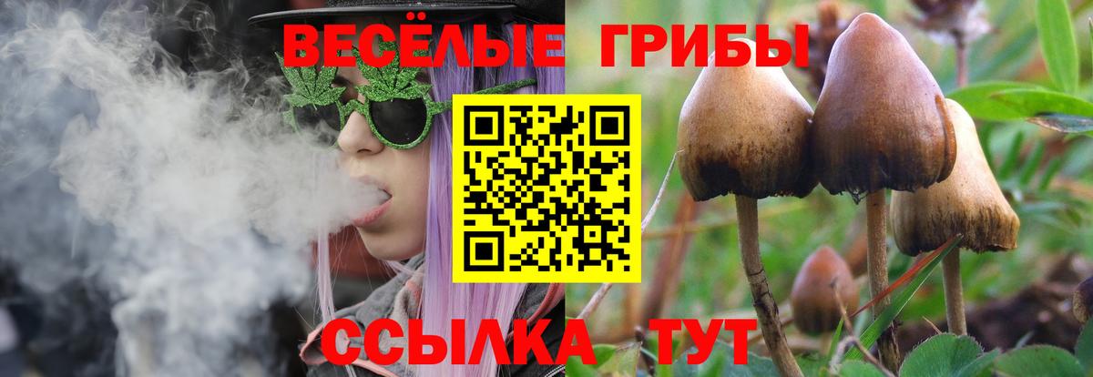 Советская Гавань  Псилоцибиновые грибы ЛСД  Вход с VPN 